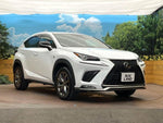 LEXUS NX300