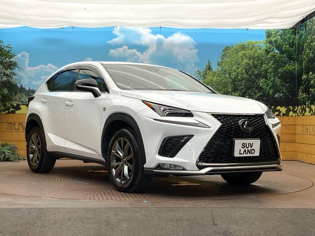 LEXUS NX300