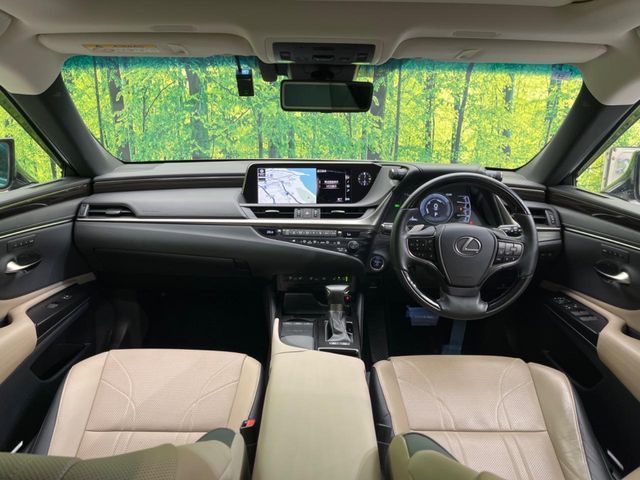 LEXUS ES300h