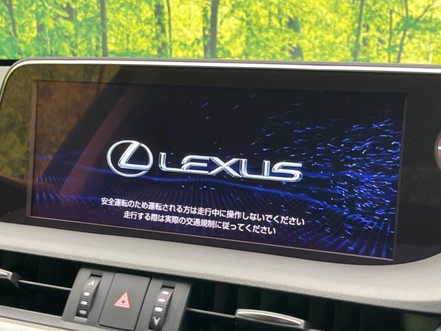 LEXUS ES300h