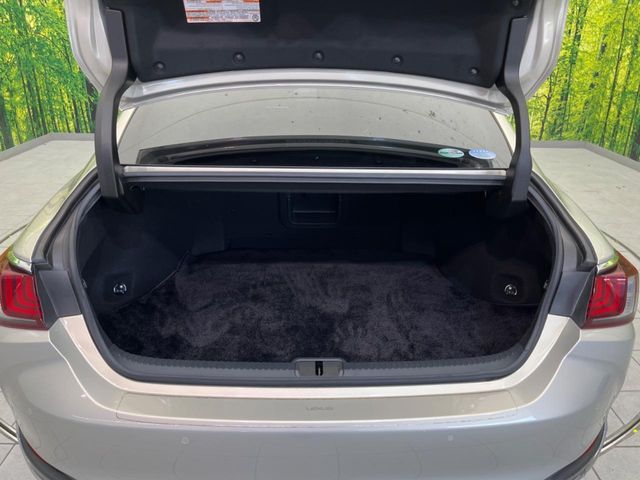 LEXUS ES300h