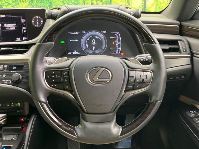 LEXUS ES300h
