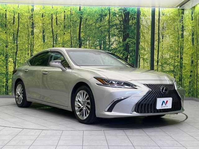 LEXUS ES300h