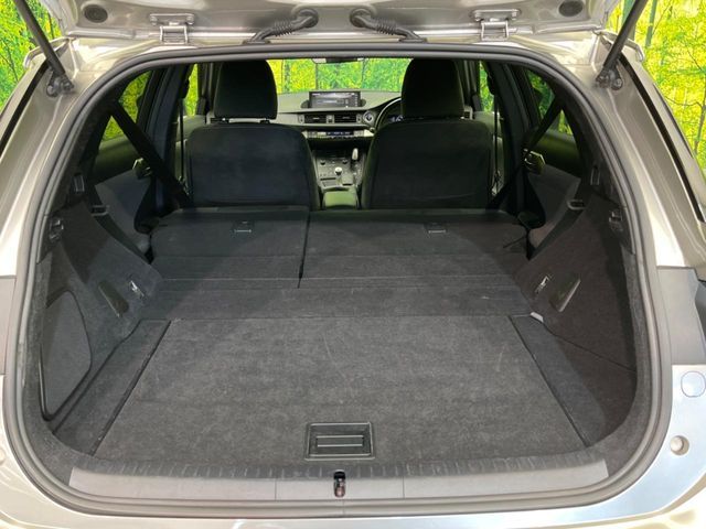 LEXUS CT200h