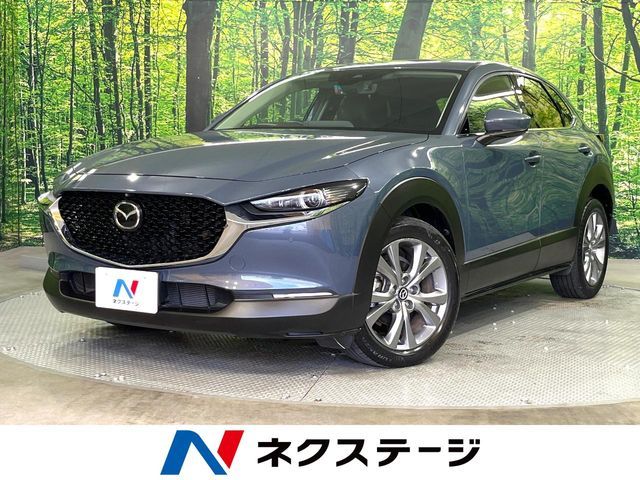 CX-30