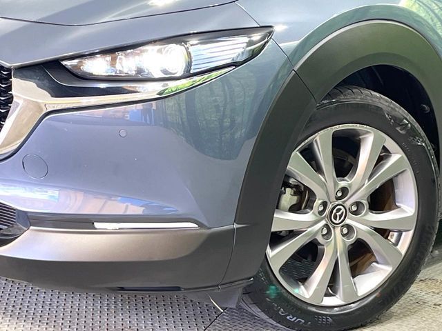 CX-30