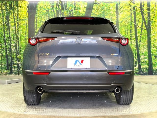 CX-30