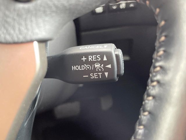 LEXUS NX300h
