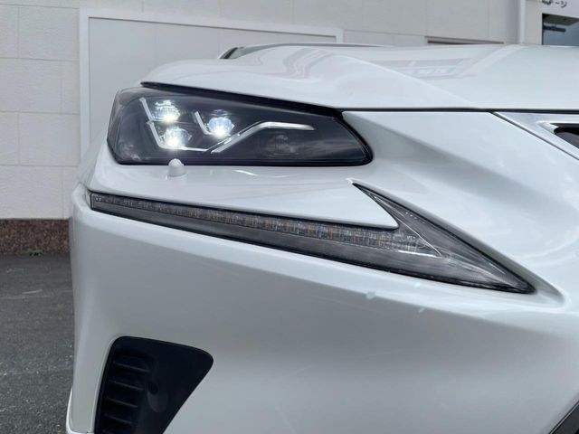 LEXUS NX300h