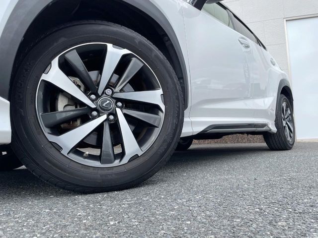 LEXUS NX300h