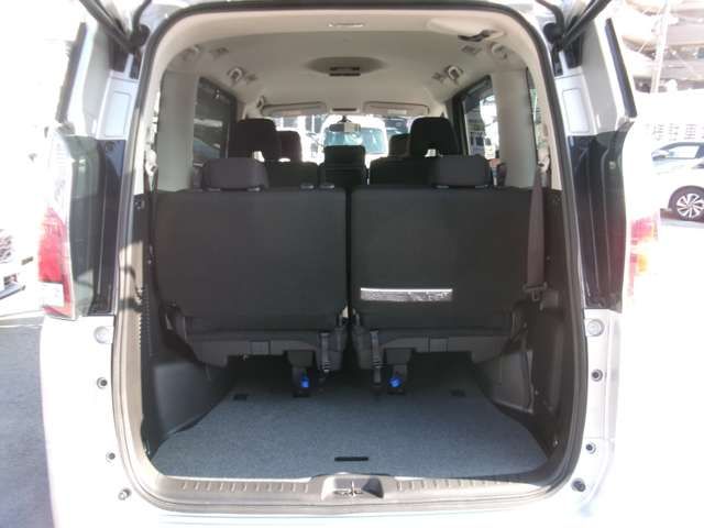 SERENA  S-HYBRID