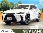 LEXUS UX250h