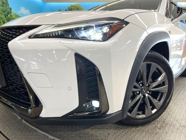 LEXUS UX250h