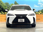 LEXUS UX250h