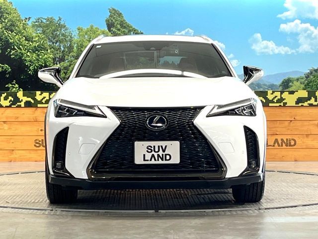 LEXUS UX250h