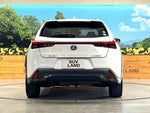 LEXUS UX250h