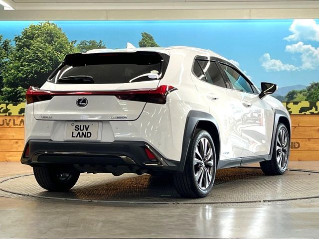 LEXUS UX250h