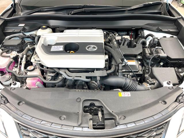 LEXUS UX250h