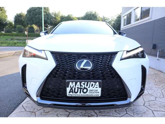 LEXUS UX300h