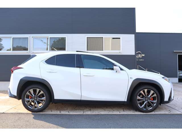 LEXUS UX300h