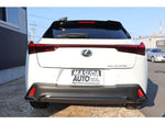LEXUS UX300h