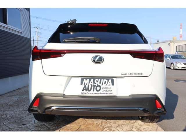 LEXUS UX300h