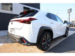 LEXUS UX300h
