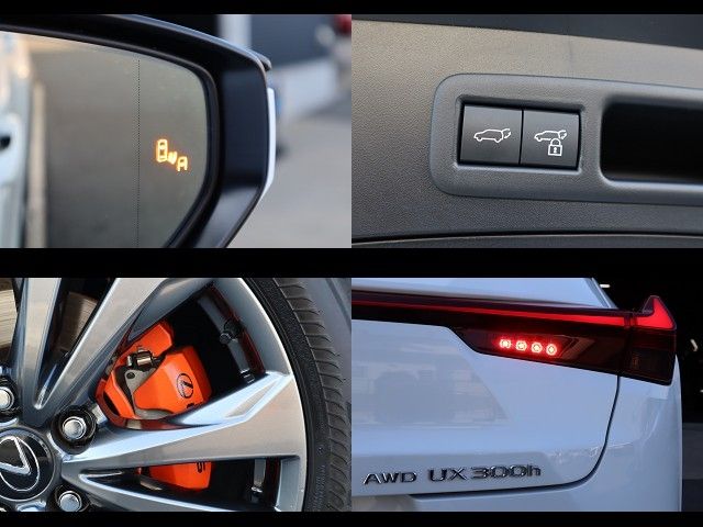 LEXUS UX300h