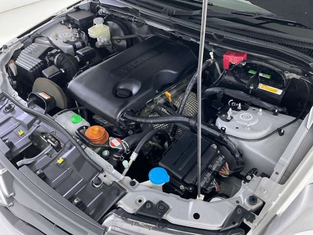 ESCUDO  WG 4WD