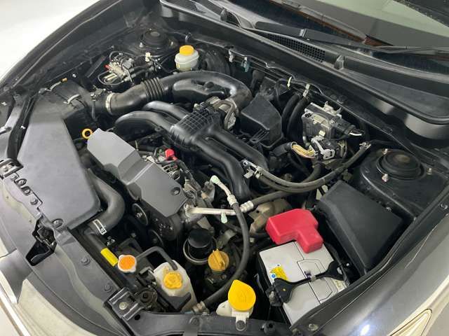 EXIGA CROSSOVER 7
