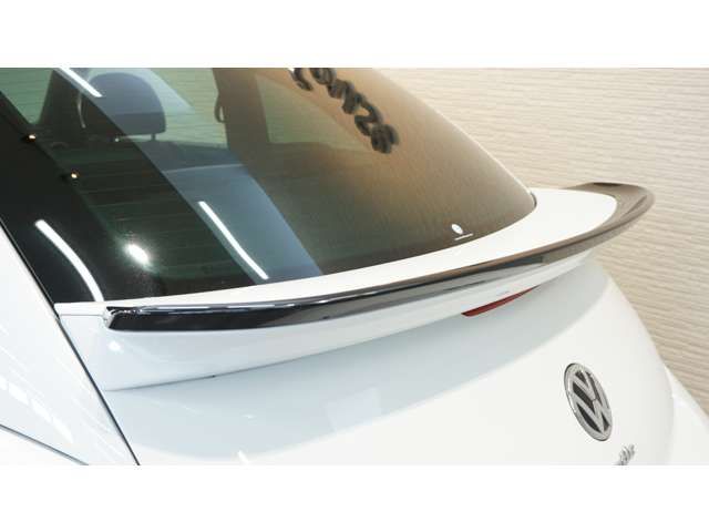 VOLKSWAGEN The BEETLE