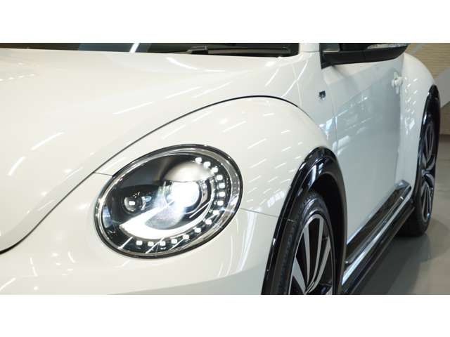 VOLKSWAGEN The BEETLE