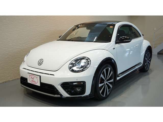 VOLKSWAGEN The BEETLE