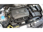 VOLKSWAGEN The BEETLE
