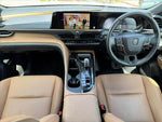 CROWN SPORT