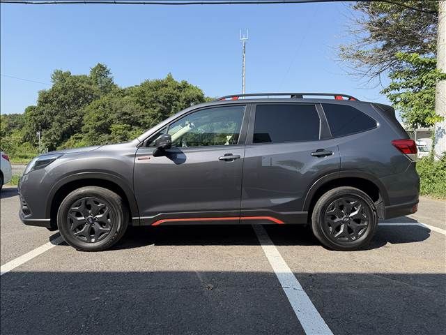 FORESTER