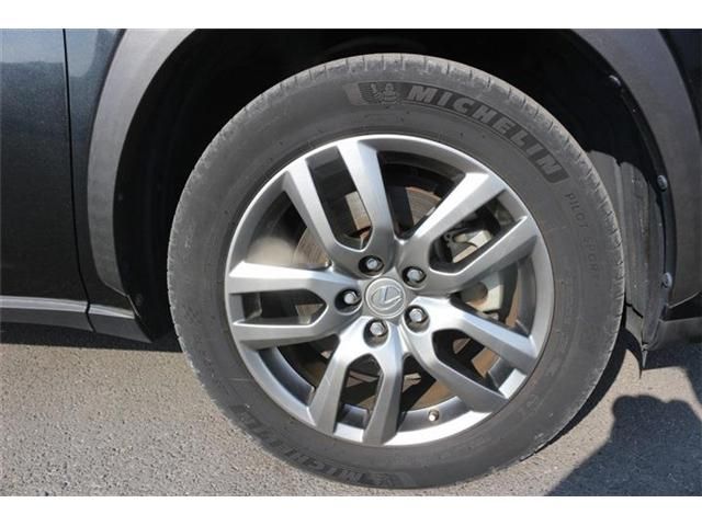 LEXUS NX300h