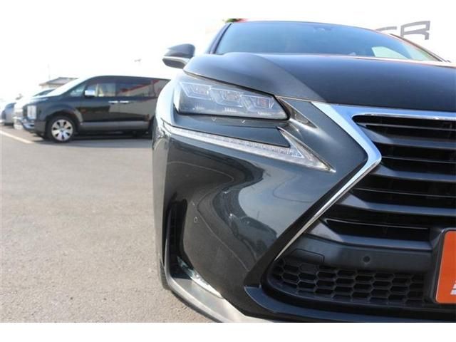 LEXUS NX300h
