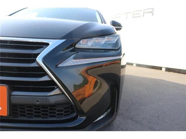 LEXUS NX300h