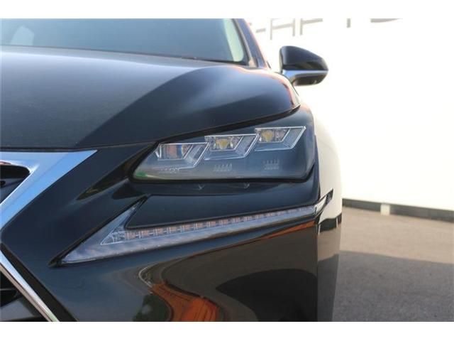 LEXUS NX300h