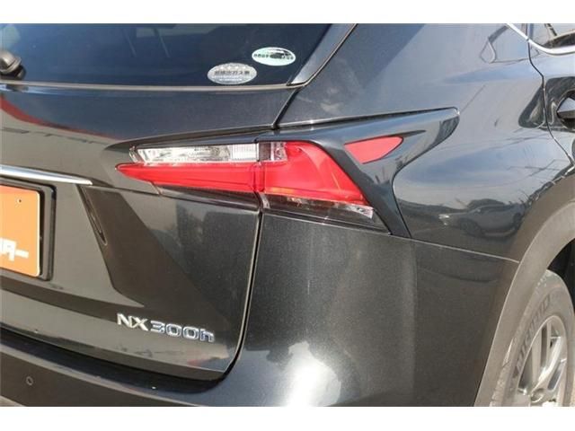 LEXUS NX300h