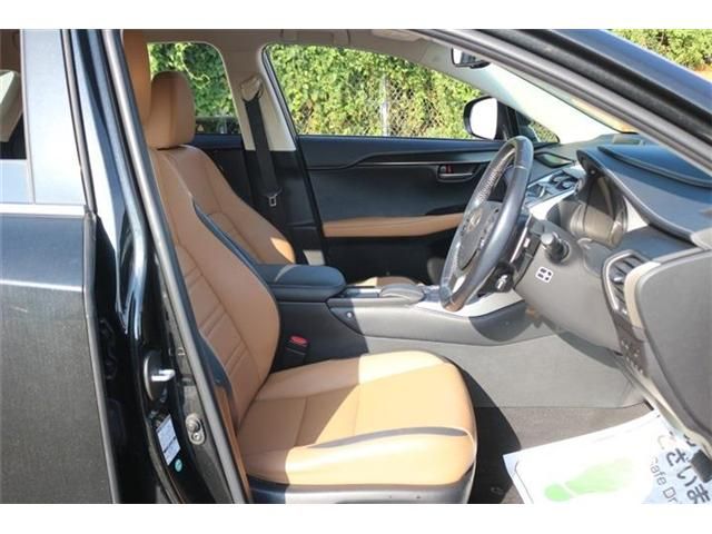LEXUS NX300h