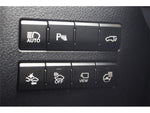 LEXUS NX300h