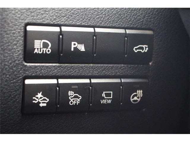LEXUS NX300h
