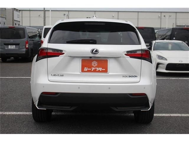 LEXUS NX300h