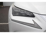 LEXUS NX300h