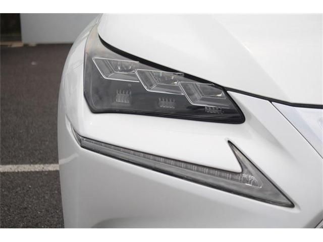 LEXUS NX300h