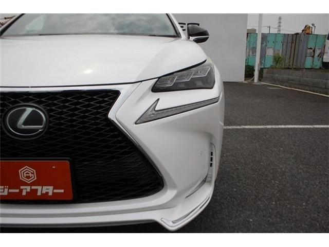 LEXUS NX300h