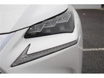LEXUS NX300h