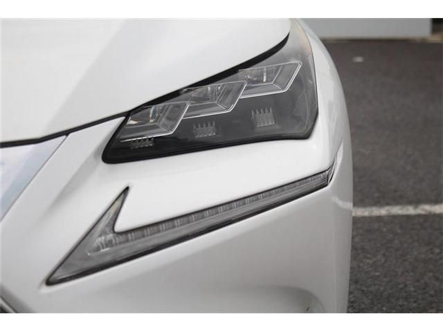 LEXUS NX300h